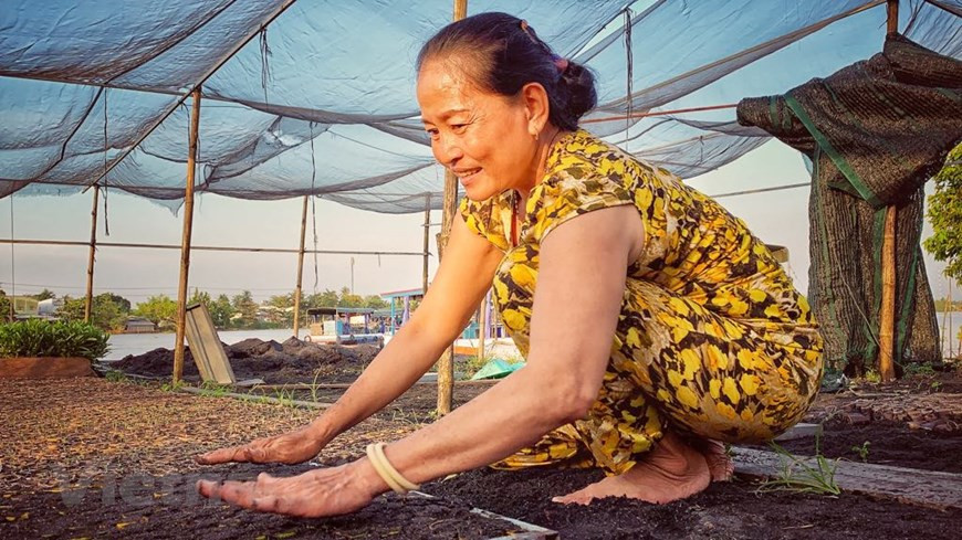 Nguyen Thi Bay has worked as seedling cultivator for over 25 years. She said despite hardship and low income, this is a hereditary career, she still works with pride (Photo: Vietnam+) 