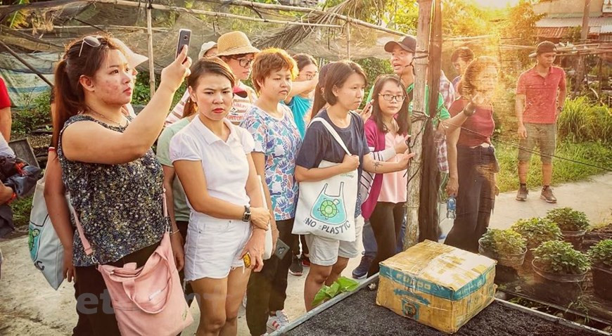Tourists visit and experience processes of seedling cultivation (Photo: Vietnam+)