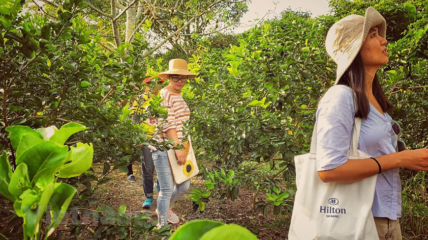 Each year, hundreds of thousands of visitors at home and abroad visit Phong Dien fruit capital (Photo: Vietnam+)