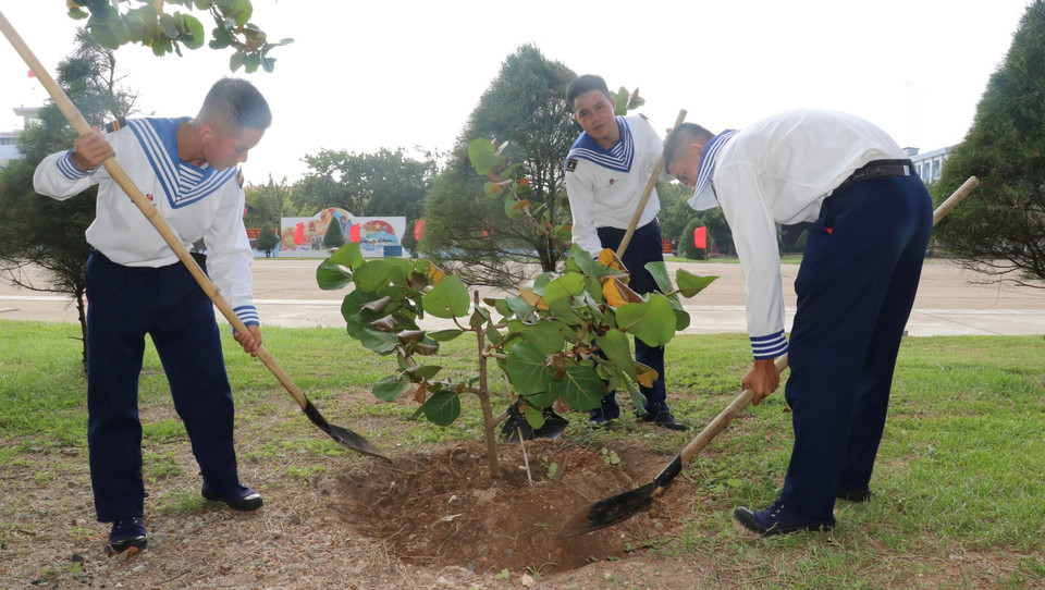 Soldiers plant Bang vuong or square-fruit Malabar Almond tree. (Photo: VNA)