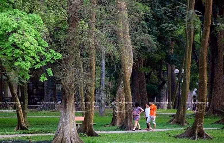 Hanoi was also ranked 12th among the 25 best global destinations in 2018 selected by TripAdvisor readers (Photo: VNA)