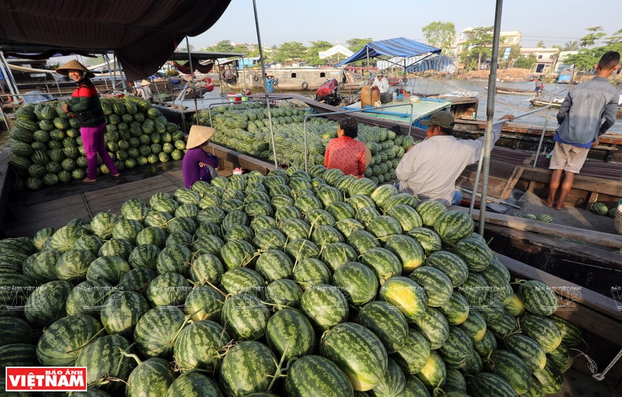 Fruits and other specialities of the southwestern region are sold on the market (Photo: VNA)
