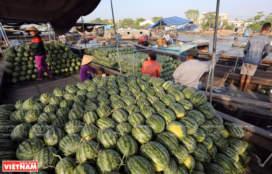 Fruits and other specialities of the southwestern region are sold on the market (Photo: VNA)