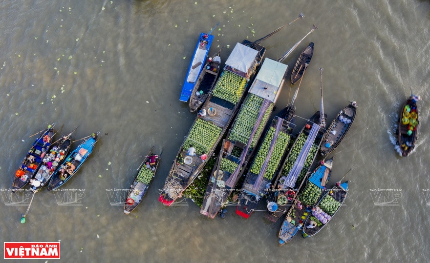 The Cai Rang Floating Market is on the 185-kilometre Hau River which is a part of Mekong Delta river basin (Photo: VNA)