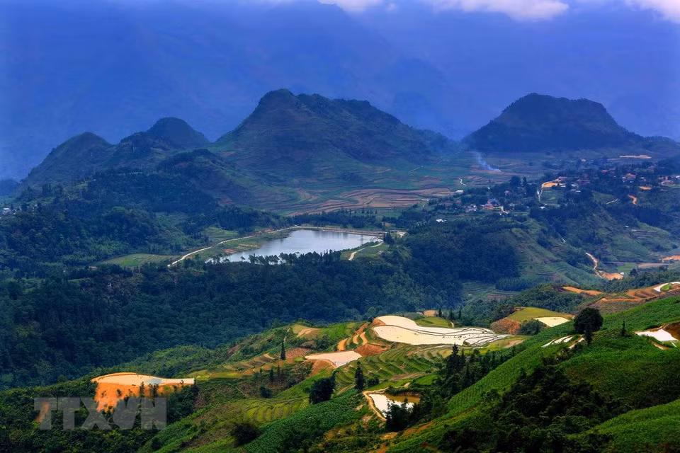 Beautiful terraced rice field in Quan Ba district (Photo: VNA)