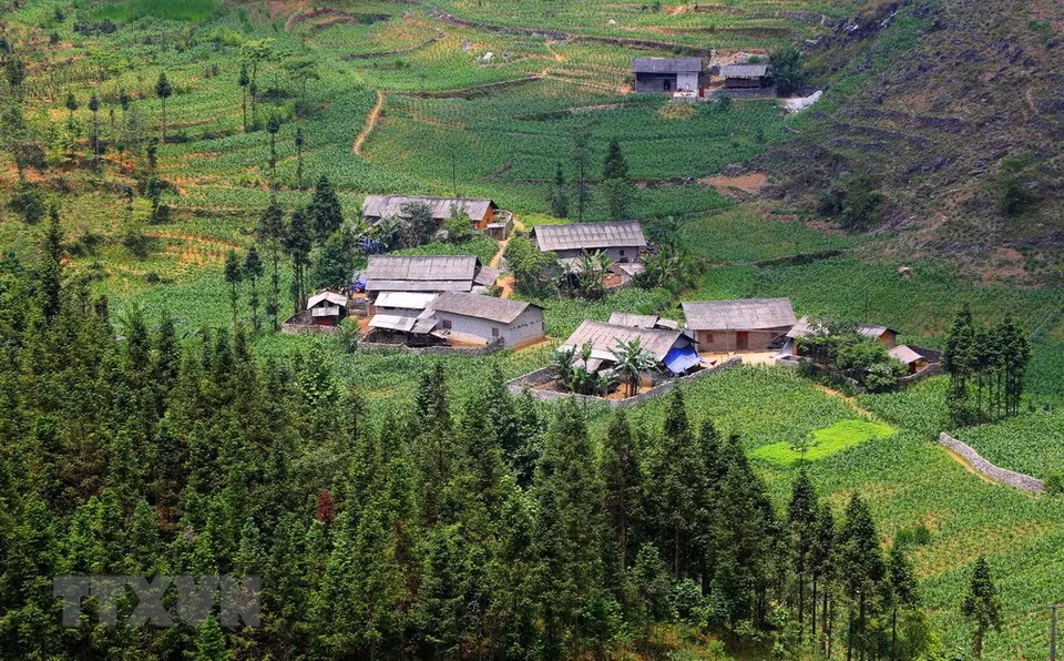 A small village next to Yen Minh pine forest (Photo: VNA)
