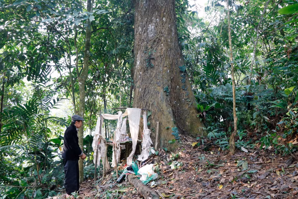 Shaman undergoes forest god worship ritual (Photo: VNA)