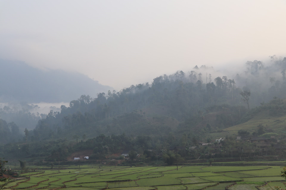 The annual forest festival is the most important event of the local Mong people, during which they pray for favourable weather, abundant crops, good health and happiness (Photo: VNA)
