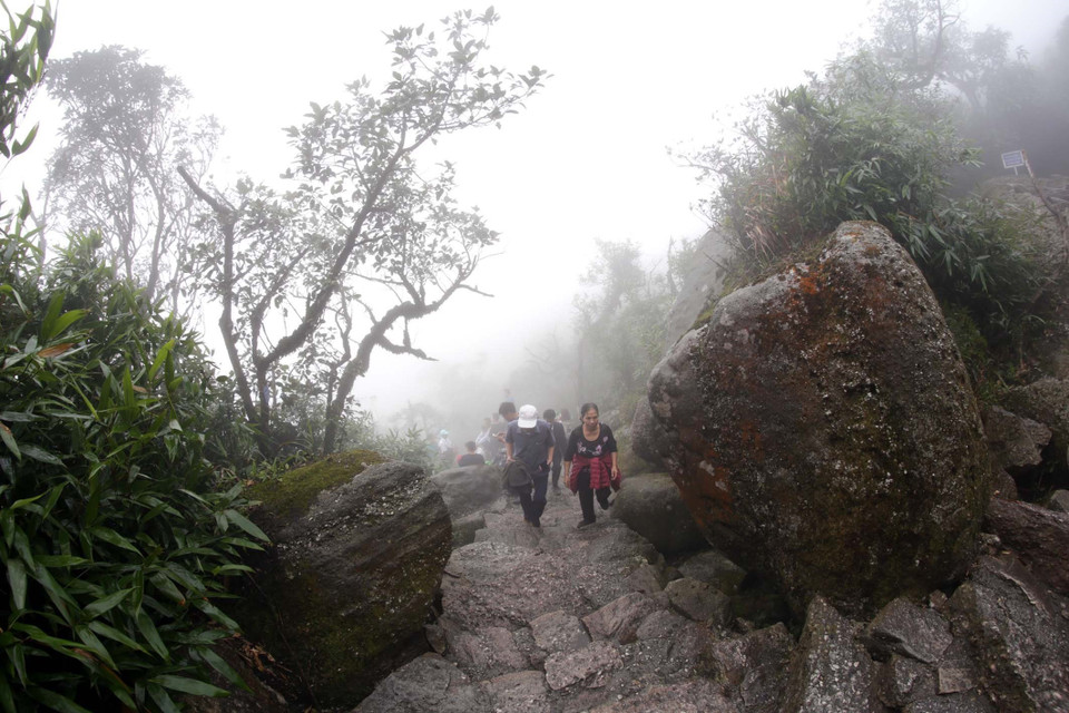 Tourists and pilgrims pray for peace at Dong (Bronze) Pagoda (Source: VNA)