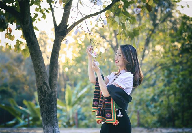 For Thai ethnic people in the northwest region, the Ban flower is a symbol of a pure and faithful love between a couple Ban and Khum (Photo: VNA)