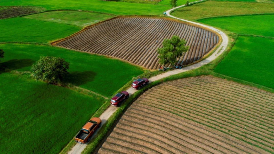 Nang som tren canh dong Ta Pa (Early sunlight on Ta Pa field) by Mai Thanh Chuong (Source: the organising board)