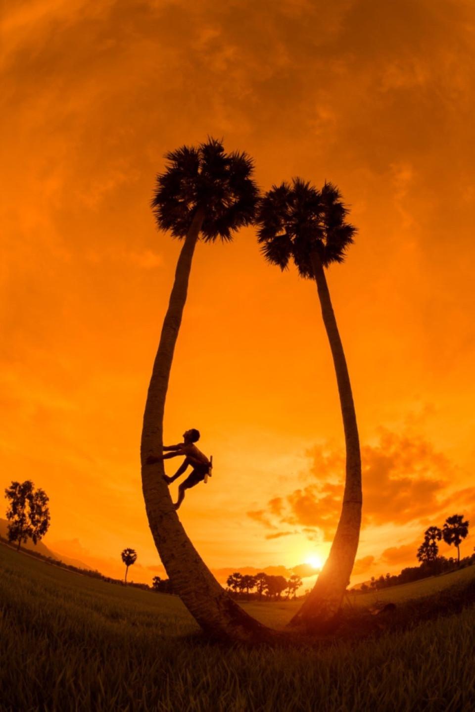 Con Kien Leo Cay (an ant climbing the tree) by Nguyen Ngoc Hoa (Source: the organising board)