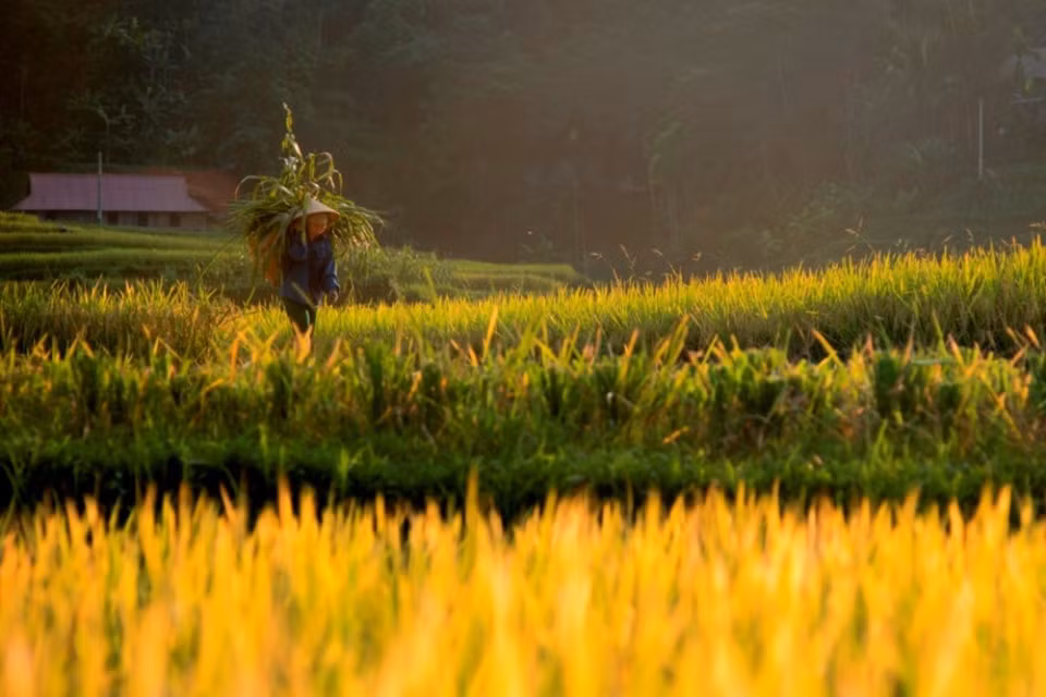 A photo by Nguyen Manh Quang (Source: the organising board)