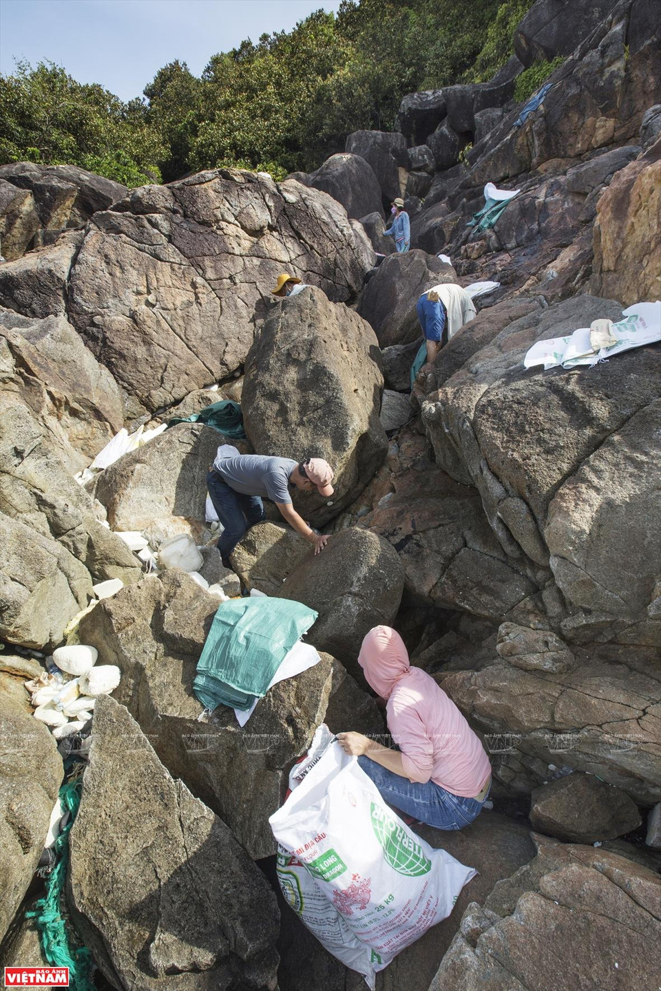 Rocky terrain is a challenge for members of ‘Cleaning of Son Tra’ group in collecting trash on Da Den beach (Photo: VNA)