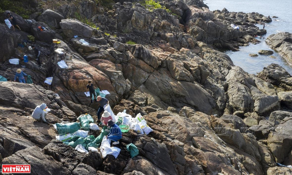 Young volunteers join hand to clean up Da Den beach on Son Tra peninsula (Photo: VNA)
