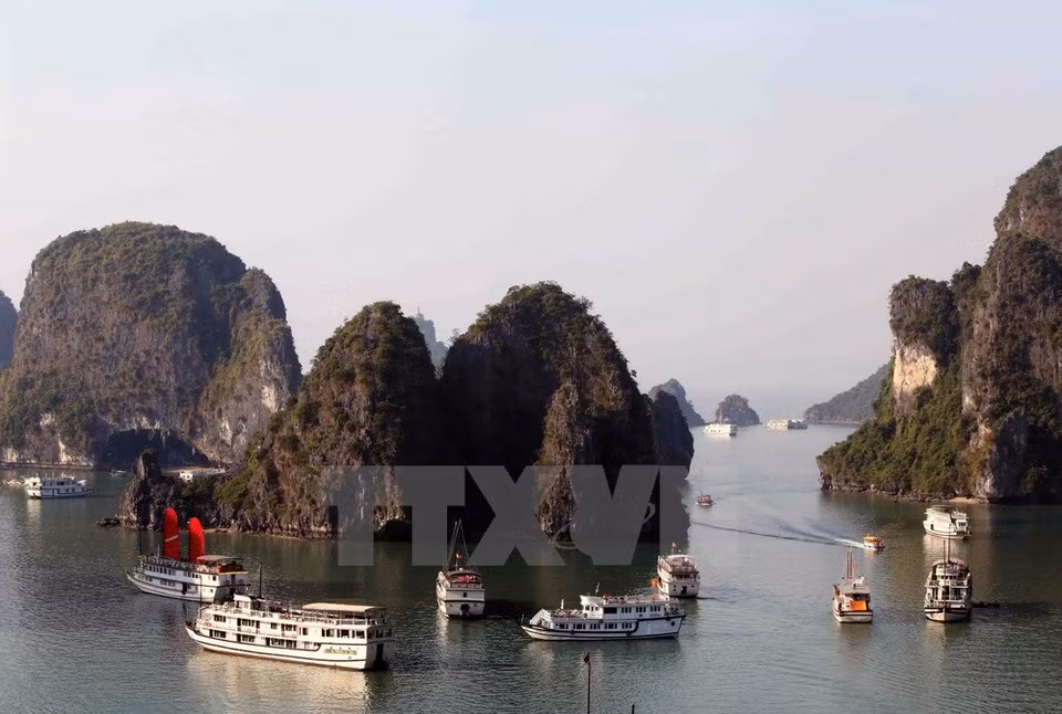 Most of the rocks in Ha Long Bay are limestone islands (Photo VNA)