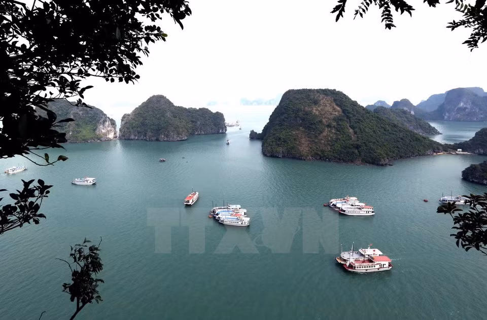 Ha Long Bay has a total area of 1,553 square kilometres, including 1,969 large and small islands, of which 989 are named (Photo VNA)