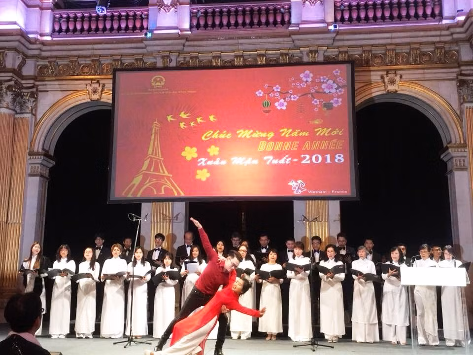 An art performance at the celebration in France (Source: VNA)