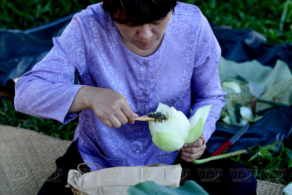Gastronomes in Hue aromatise green tea in lotus. Tea with a lotus aroma was a popular drink among royalty. (Photo: VNP