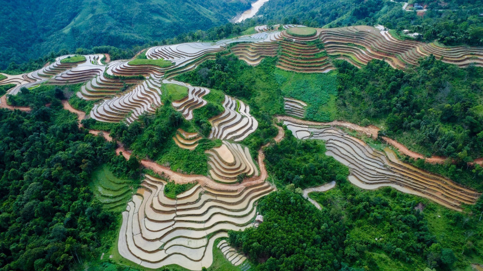 The fields look as though huge mirrors have been sewn into a green tapestry stretching to the horizon. (Photo: VNA) 