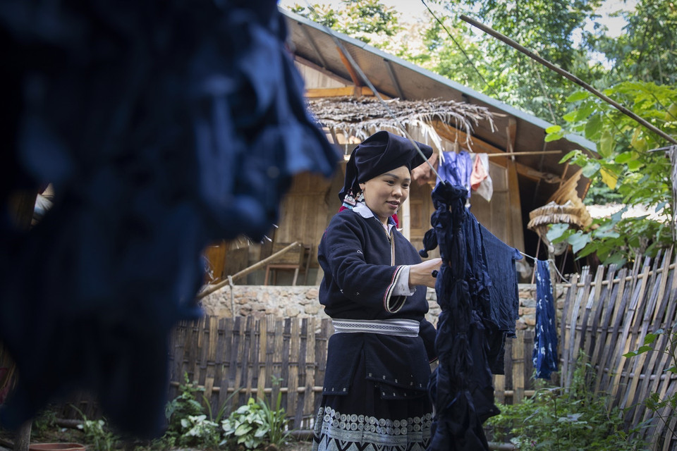 The cloth is hung out to dry after being dyed indigo. 