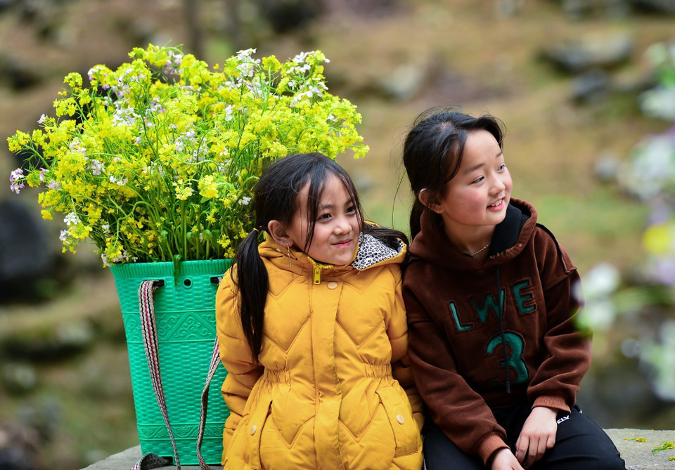 Little girls with a basket full of yellow mustard flowers at Tham Ma Pass (Photo: VNA)