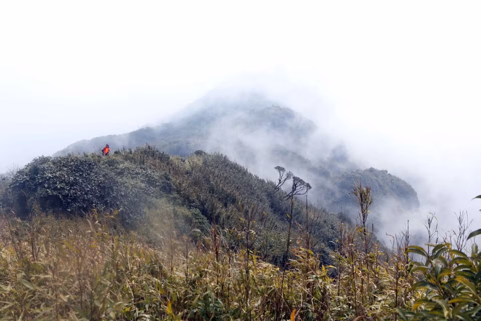 Bach Moc Luong Tu is the 4th-highest peak in Vietnam, after Mt Fansipan (3,143 metres), Pu Ta Leng (3,096 metres), and Pu Si Lung (3,076 metres). (Photo: VNA)