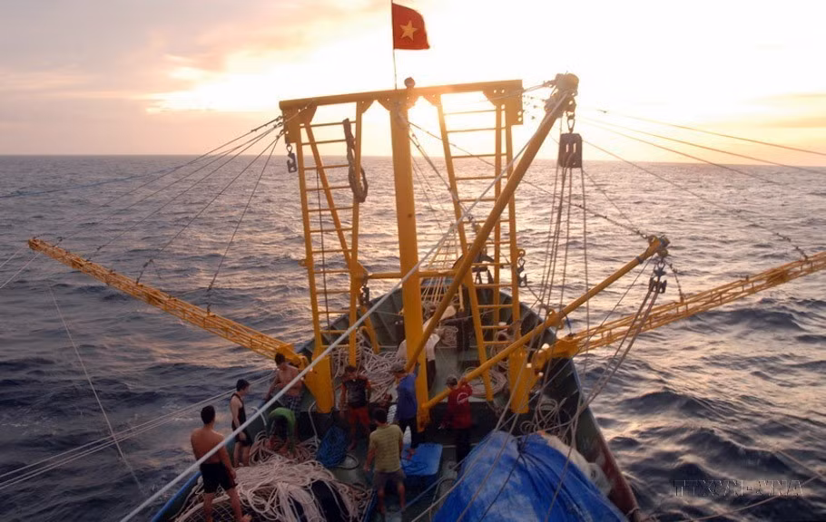 The steel-hulled fishing vessel QNg 94359TS has a capacity of 811 CV. It was the first of its kind built with preferential loans from the Quang Ngai fishermen support fund to exploit seafood in the East Sea fishing grounds, in 2015. (Photo: VNA)
