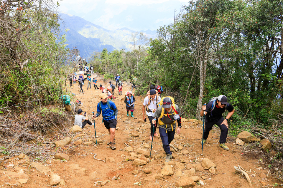 A group of Thai trekkers on their way to conquering Ta Xua Peak. (Photo: VNP)