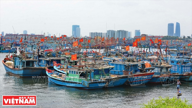 Annual whale worshipping festivals at fishing villages are a spiritual ritual of fishing communities in coastal Vietnam (Photo: VNA)