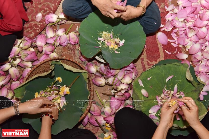 Lotus petals are separated and pistil is used to aromatize tea (Photo:VNP/VNA)