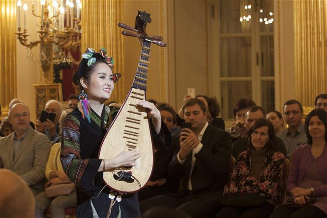 Artist performs Vietnamese traditional music at the event (Photo:VNA)