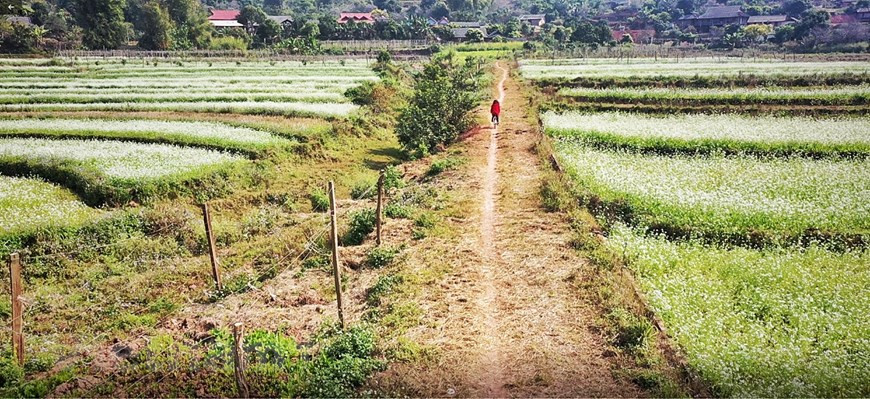 The winding road leading to So Luon village (Photo: Vietnam+)