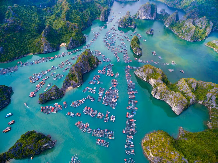 Located adjacent to Ha Long Bay, Lan Ha Bay encompasses Cat Ba archipelago. This is a calm, arc-shaped bay with about 400 large and small islets. (Photo: Vietnamplus)