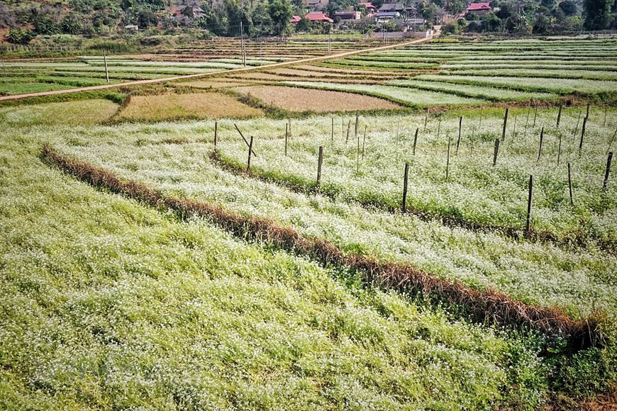 The view is breath-taking for visitors (Photo: Vietnam+)