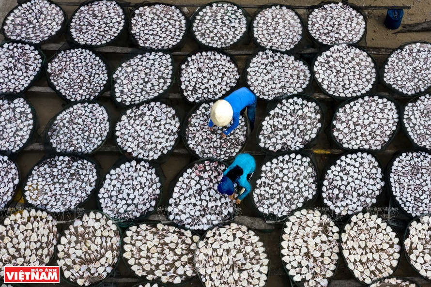 Seafood processing in Sa Huynh, Duc Pho town. (Photo: VNA)