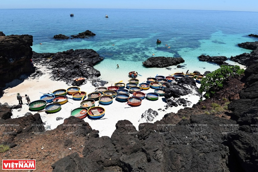 Coracles are used by tourists who experience scuba diving and watch beautiful coral reefs in An Binh commune, Ly Son district. (Photo: VNA)