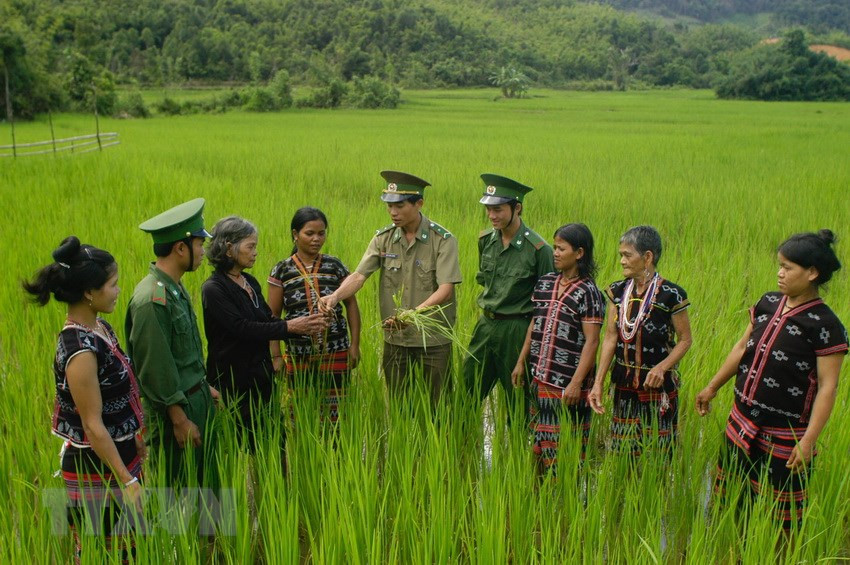 Officers at Border Station 645 instruct ethnic minority people in A Nong commune, Tay Giang district, Quang Nam province to cultivate and prevent pesticides in rice fields (Photo: VNA)