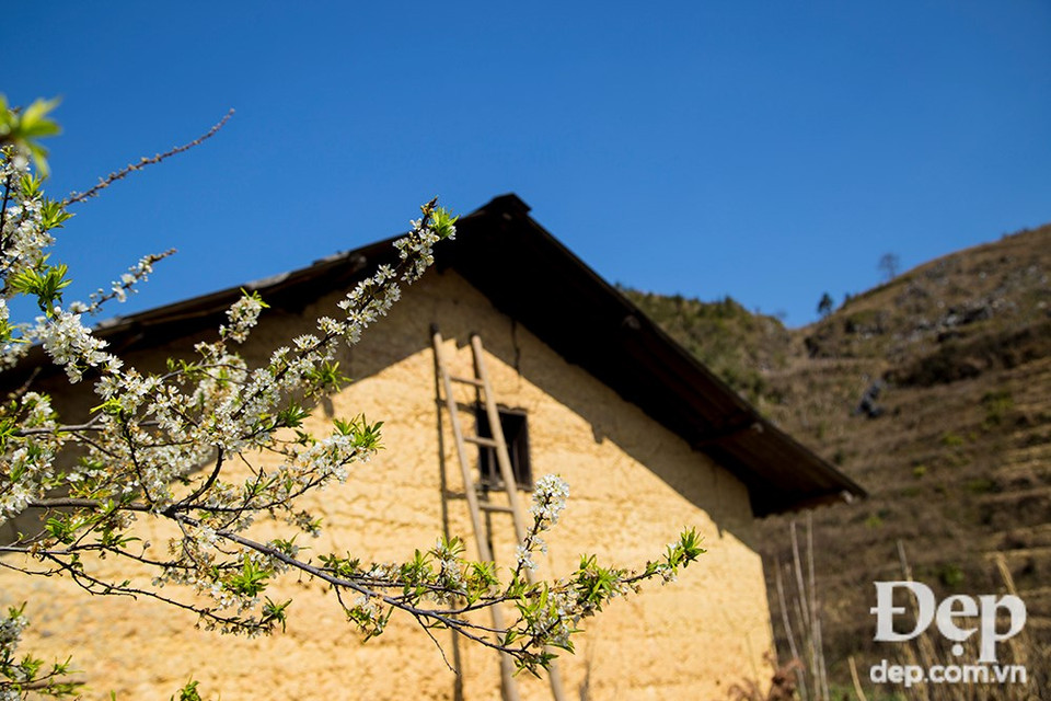 Moc Chau Plateau is 190 km away from Hanoi (Photo: VNA)