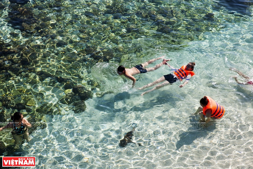 Visitors explore the coral reef (Photo: VNA)