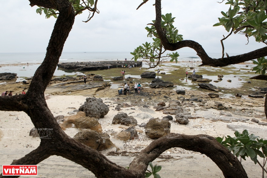 Visitors enjoy the sight of sedimentary cliffs on Ly Son island (Photo: VNA)