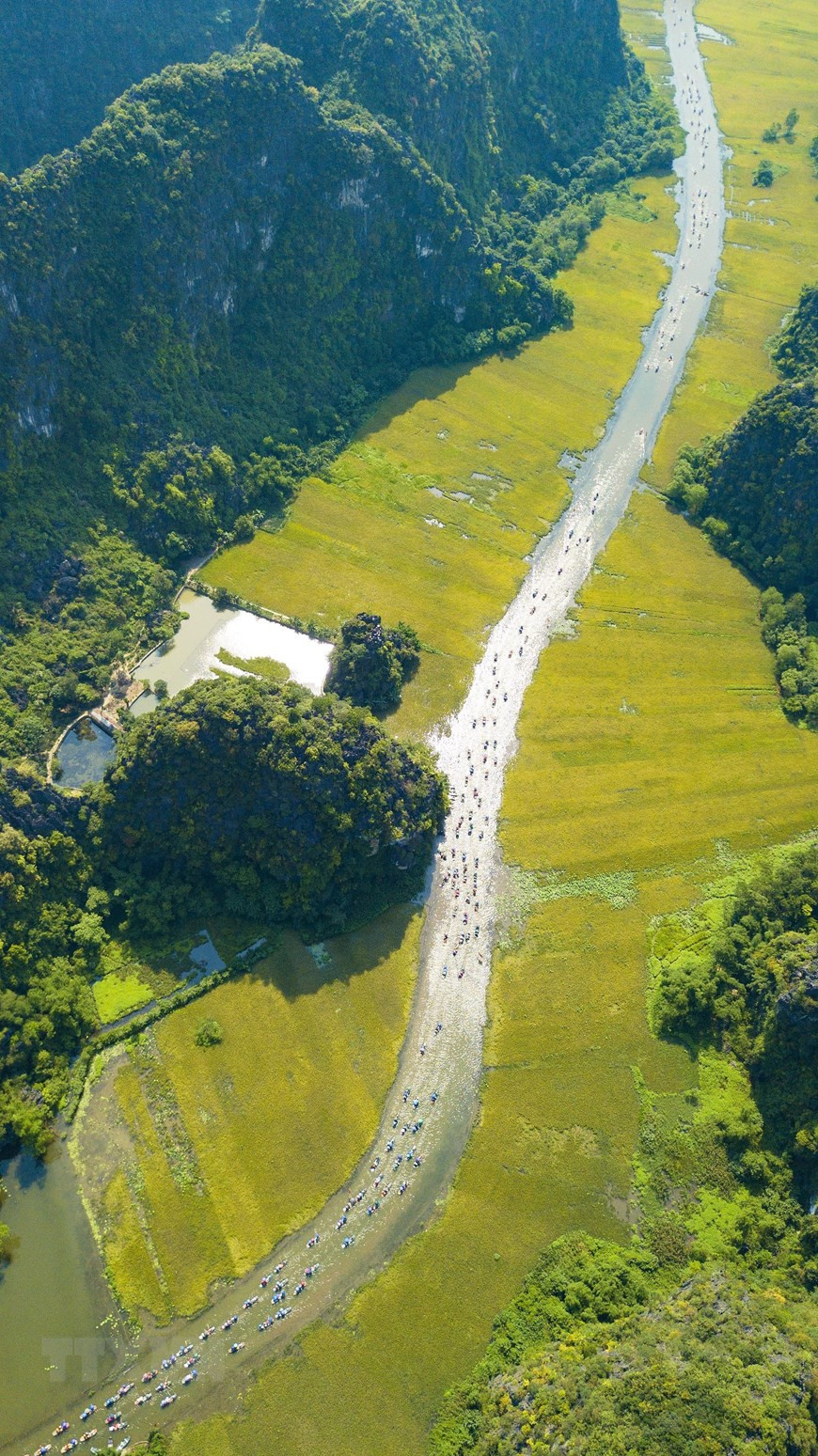 Aerial shot of the Ngo Dong stream (Photo: VNA)