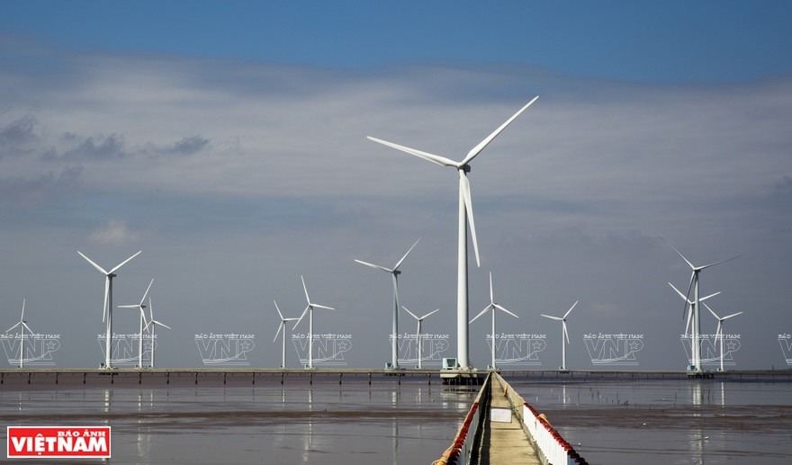 The wind farm in Bac Lieu, operated in 2013, generates about 320 million kWh/year (Photo: VNP/VNA)