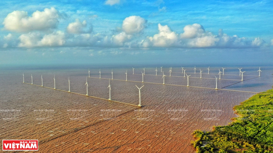  The Bac Lieu wind power plant, the first of its kind in Vietnam, has 62 wind turbines with a total capacity of 99 MW. (Photo:VNP/VNA)