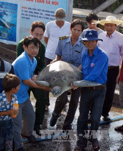 Per capita income in coastal regions in Vietnam is at least 1.2 times higher than the national average (Photo:VNA)