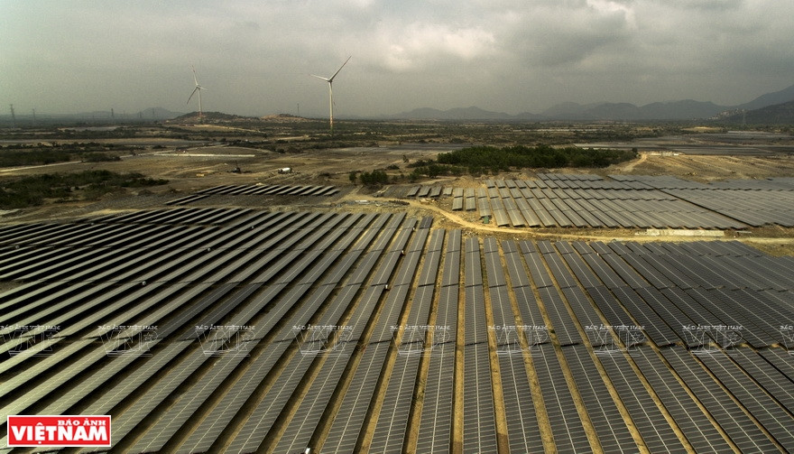 The project, on an area of 264ha, is the only one in Vietnam combining wind and solar power plants (Photo: VNP/VNA)