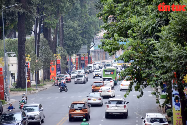 Pham Ngoc Thach Street in District 1 (Photo: Tin Tuc Newspaper/VNA)