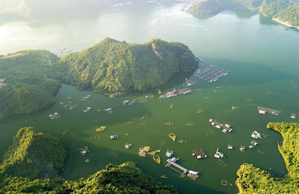Cage fish farming combined with tourism is a significant advantage for residents engaged in aquaculture on the waters of Hoa Binh Lake. (Photo: VNA)