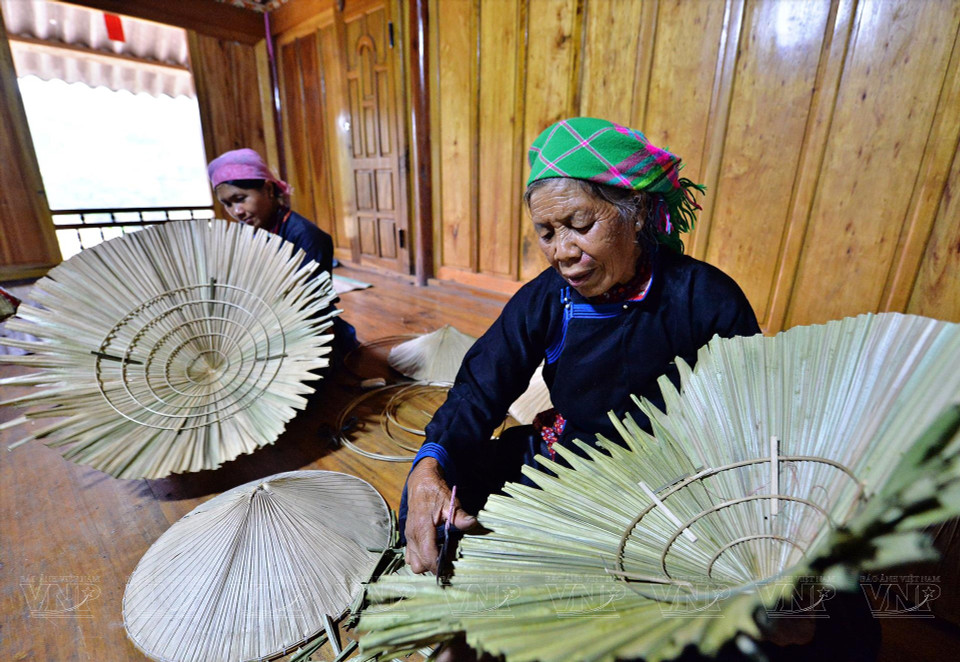 The Tay ethnic people use original palm leaves to make their conical hats. (Photo: VNP/VNA)