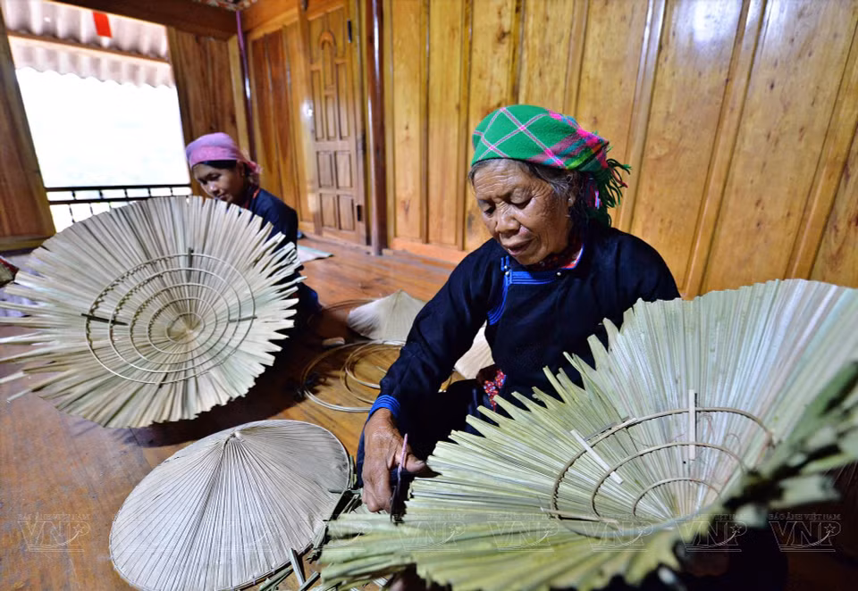 The Tay ethnic people use original palm leaves to make their conical hats. (Photo: VNP/VNA)